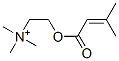 senecioylcholine CAS#: 20284-79-1