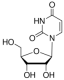 structure-of-Uridine-CAS-58-96-8