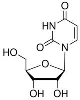 structure-of-Uridine-CAS-58-96-8