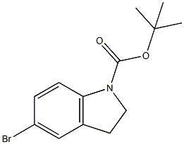 tert-butyl 5-bromoindoline-1-carboxylate CAS#: 261732-38-1