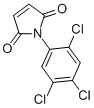 1-(2,4,5-TRICHLORO-PHENYL)-PYRROLE-2,5-DIONE CAS#: 31489-22-2