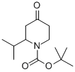 1-BOC-2-ISOPROPYL-PIPERIDIN-4-ONE CAS#: 313950-41-3