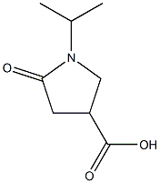 1-Isopropyl-5-oxo-pyrrolidine-3-carboxylic acid CAS#: 299920-47-1