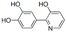 1,2-Benzenediol, 4-(3-hydroxy-2-pyridinyl)- (9CI) CAS#: 34541-50-9