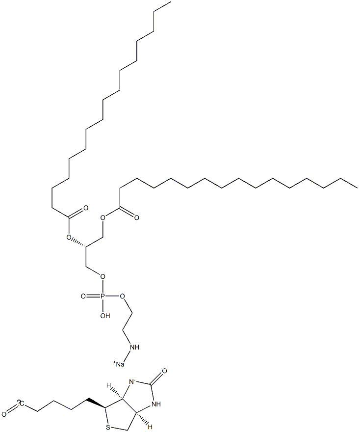 1,2-dipalMitoyl-sn-glycero-3-phosphoethanolaMine-N-(biotinyl) (sodiuM salt) CAS#: 384835-54-5