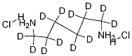 1,6-DiaMinohexane-d12 Dihydrochloride CAS#: 284474-80-2