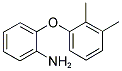 2-(2,3-DIMETHYLPHENOXY)ANILINE CAS#: 3169-78-6
