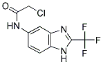 2-CHLORO-N-(2-TRIFLUOROMETHYL-1H-BENZOIMIDAZOL-5-YL)-ACETAMIDE CAS#: 362594-28-3
