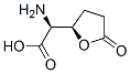2-Furanaceticacid,alpha-aminotetrahydro-5-oxo-,(alphaS,2R)-(9CI) CAS#: 299208-58-5
