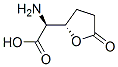 2-Furanaceticacid,alpha-aminotetrahydro-5-oxo-,(alphaS,2S)-(9CI) CAS#: 299208-57-4