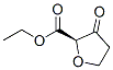 2-Furancarboxylicacid,2-ethyltetrahydro-3-oxo-,(2R)-(9CI) CAS#: 361460-19-7