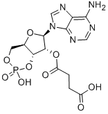 2'-O-MONOSUCCINYLADENOSINE 3':5'-CYCLIC MONOPHOSPHATE CAS#: 36940-87-1