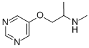 2-Propanamine,N-methyl-1-(5-pyrimidinyloxy)-(9CI) CAS#: 310881-01-7