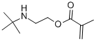 2-(TERT-BUTYLAMINO)ETHYL METHACRYLATE CAS#: 3775-90-4