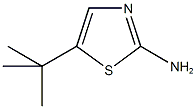 2-Thiazolamine, 5-(1,1-dimethylethyl)- CAS#: 299417-31-5