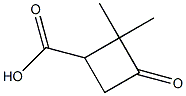 2,2-DiMethyl-3-oxocyclobutanecarboxylic acid CAS#: 3183-43-5