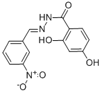 2,4-dihydroxy-N'-{3-nitrobenzylidene}benzohydrazide CAS#: 304481-71-8