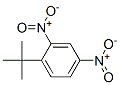 2,4-dinitro-1-tert-butyl-benzene CAS#: 4160-54-7