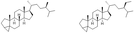 (24R)-24-METHYL-3,5-CYCLOCHOLESTANE AND (24R)-24-ETHYL-3,5-CYCLOCHOLESTANE CAS#: 36545-67-2