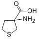3-AMINO-TETRAHYDRO-THIOPHENE-3-CARBOXYLIC ACID CAS#: 32418-99-8