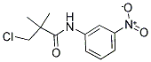 3-CHLORO-2,2-DIMETHYL-N-(3-NITROPHENYL)PROPANAMIDE CAS#: 303985-82-2