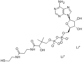 3'-DEPHOSPHOCOENZYME A CAS#: 3633-59-8