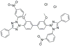3-NITROTETRAZOLIUM BLUE CHLORIDE CAS#: 38184-50-8