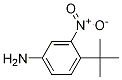 3-nitro-4-tert-butylaniline CAS#: 31951-12-9