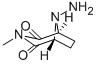3,8-Diazabicyclo(3.2.1)octane-2,4-dione, 8-amino-3-methyl- CAS#: 38074-20-3