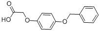 4-BENZYLOXYPHENOXYACETIC ACID CAS#: 38559-92-1