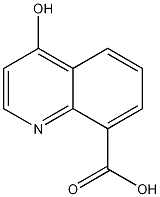 4-Hydroxyquinoline-8-carboxylic acid CAS#: 386207-63-2