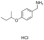4-(SEC-BUTOXY)PHENYL]METHANAMINE HYDROCHLORIDE CAS#: 37806-46-5
