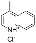 4-methylquinolinium chloride CAS#: 3007-43-0
