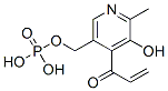 4-vinylpyridoxal-5-phosphate CAS#: 31383-64-9