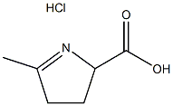 5-methyl-3,4-dihydro-2H-pyrrole-2-carboxylic acid hydrochloride CAS#: 38228-01-2