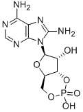 8-AMINOADENOSINE 3':5'-CYCLICMONOPHOSPHA TE FREE AC CAS#: 30685-40-6