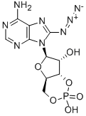 8-AZIDOADENOSINE 3':5'-CYCLIC MONOPHOSPHATE CAS#: 31966-52-6