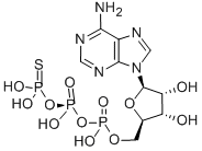 ADENOSINE-5'-O-(1-THIOTRIPHOSPHATE), SP-ISOMER SODIUM SALT CAS#: 35094-46-3