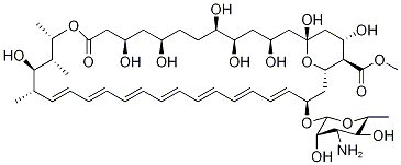 AmphotericinB CAS#: 36148-89-7
