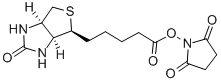BIOTIN-NHS CAS#: 35013-72-0