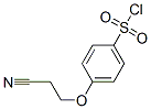 Benzenesulfonyl chloride, 4-(2-cyanoethoxy)- (9CI) CAS#: 362476-05-9