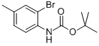 CARBAMIC ACID, N-(2-BROMO-4-METHYLPHENYL)-, 1,1-DIMETHYLETHYL ESTER CAS#: 364607-53-4