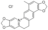 CORYSAMINE CHLORIDE CAS#: 30243-28-8
