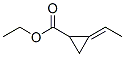 Cyclopropanecarboxylic acid, ethylidene-, ethyl ester (9CI) CAS#: 339363-55-2