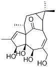 INGENOL CAS#: 30220-46-3