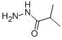 Isobutyric acid hydrazide CAS#: 3619-17-8