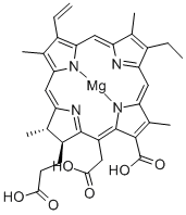 MAGNESIUMCHLOROPHYLLIN CAS#: 31386-63-7