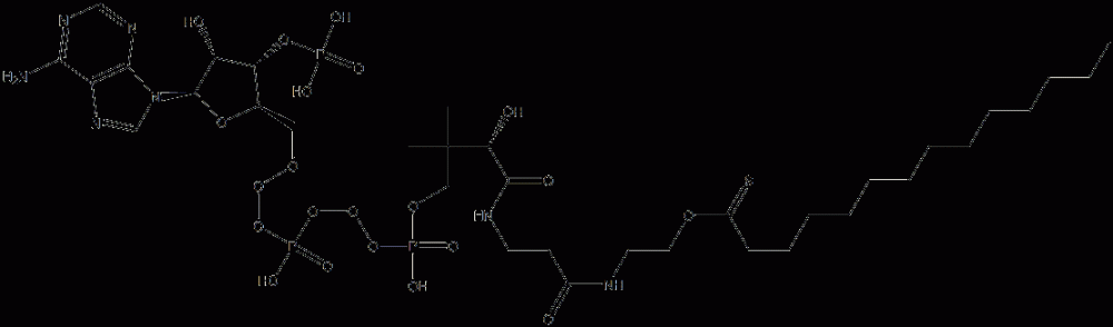 MYRISTOYL COENZYME A MONOHYDRATE* CAS#: 3130-72-1