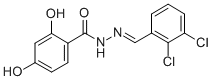 N'-(2,3-dichlorobenzylidene)-2,4-dihydroxybenzohydrazide CAS#: 304481-34-3