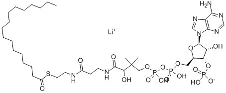 N-HEPTADECANOYL COENZYME A LITHIUM SALT CAS#: 3546-17-6